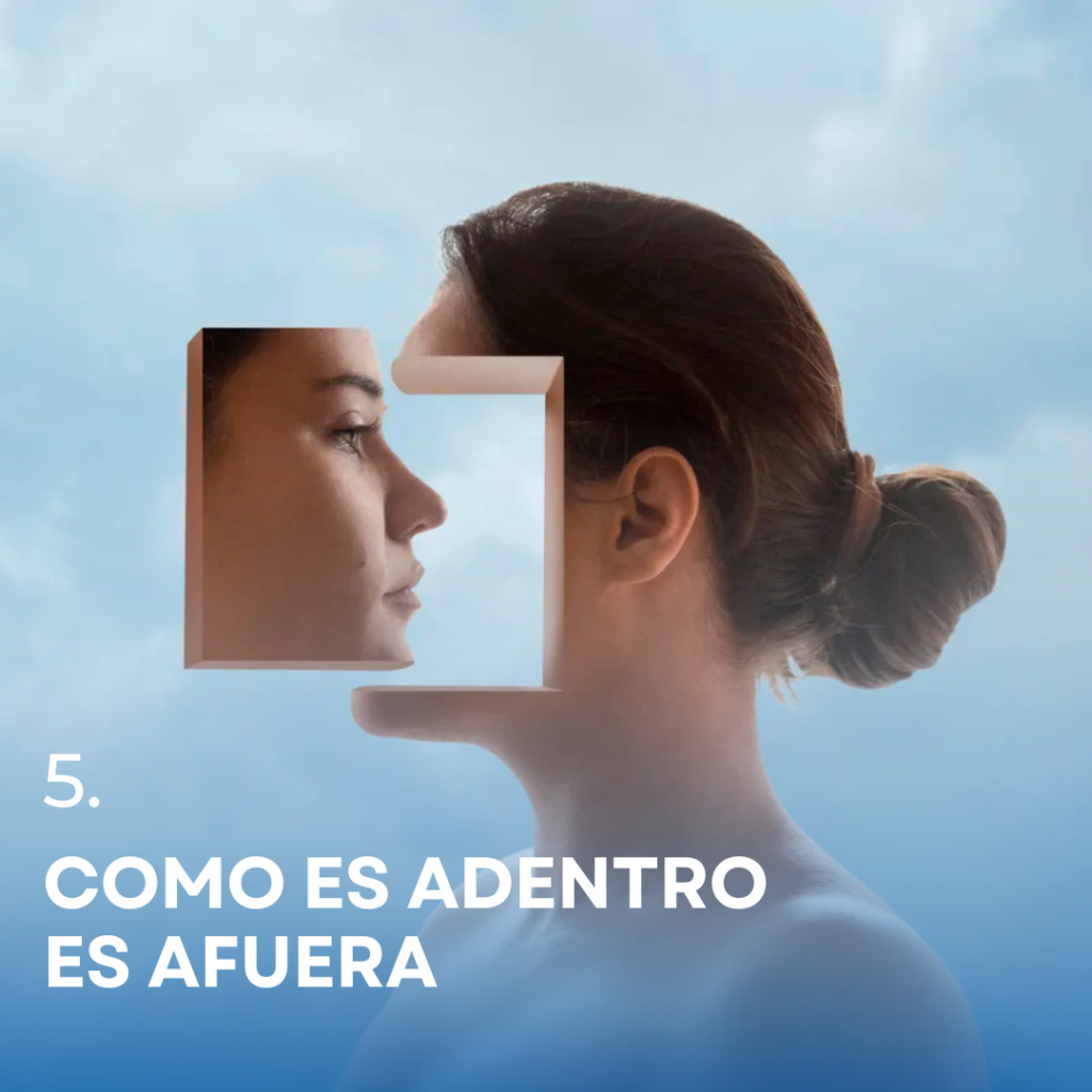 trabajar con la sombra como camino de integración