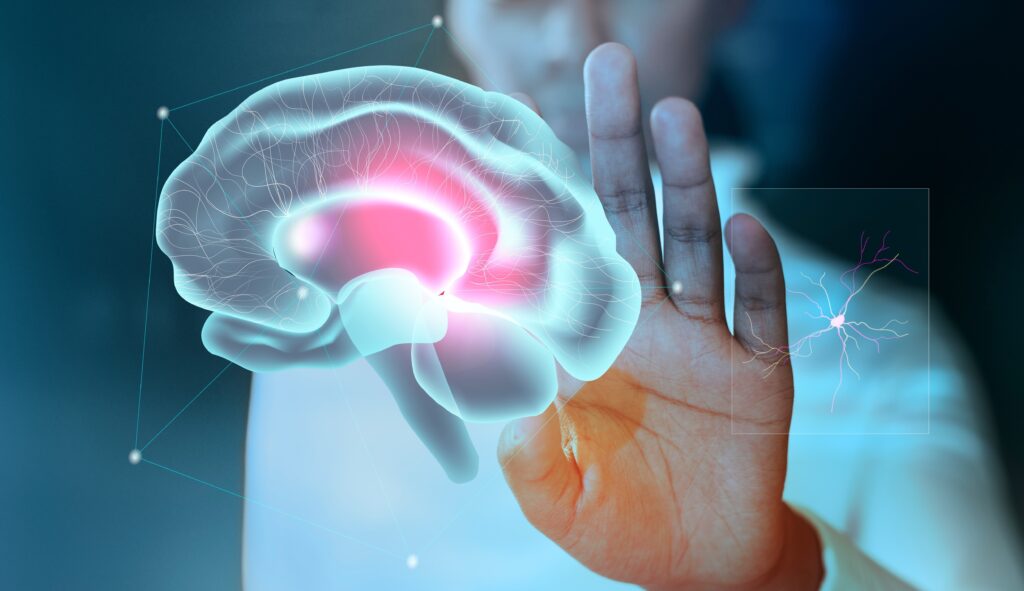 Representación visual de un cerebro recibiendo estimulación a través de la mano de una persona, símbolo del proceso terapéutico de EMDR